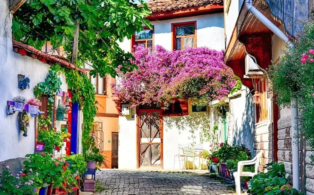 Aydın Çıkışlı Yeşil Bursa Trilye Gölyazı Mudanya Turu