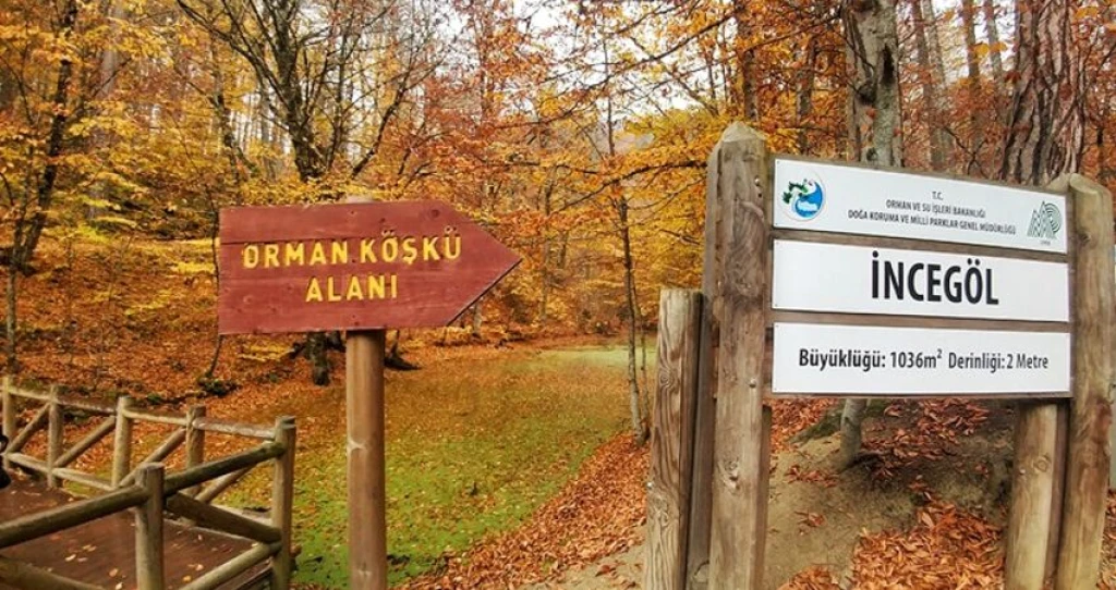 Aydın Çıkışlı Yedigöller Abant Ormanya Hobbit Evleri Turu