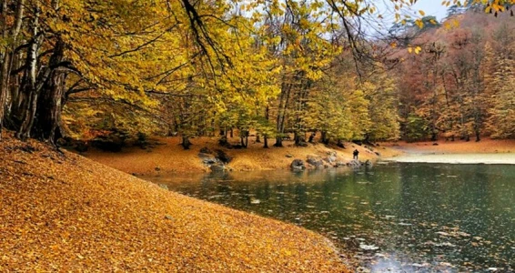 Aydın Çıkışlı Yedigöller Abant Ormanya Hobbit Evleri Turu