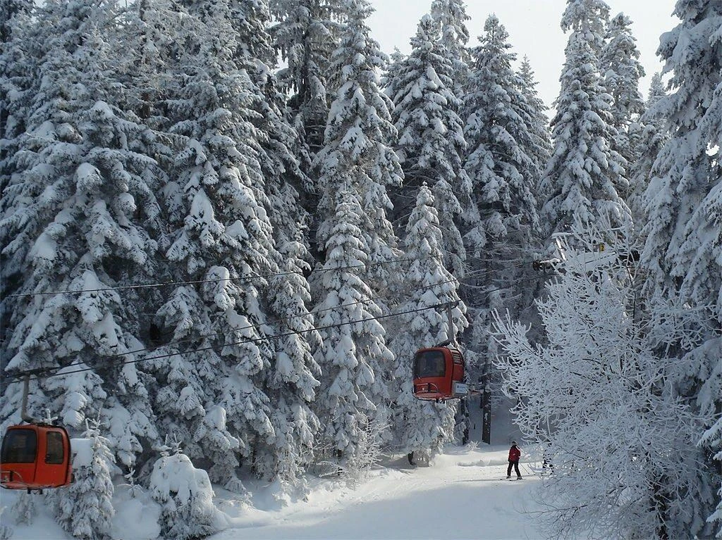 SÖMESTİR'A ÖZEL BULGARİSTAN BOROVETS TURU (4 yıldızlı hotel) 27-31 Ocak 2027