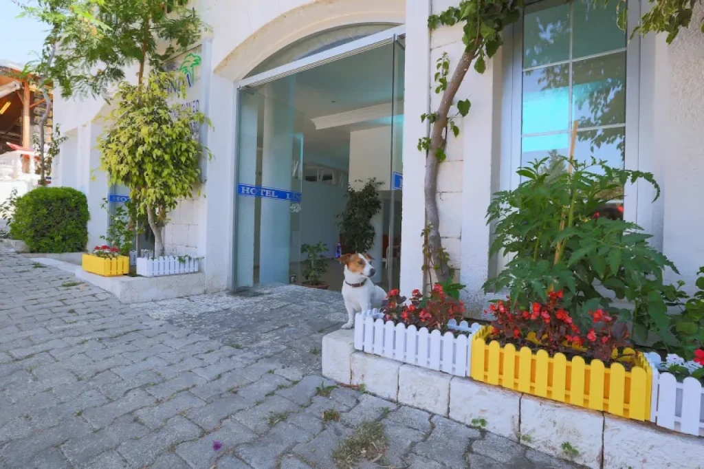 Linda Beach Class Hotel
