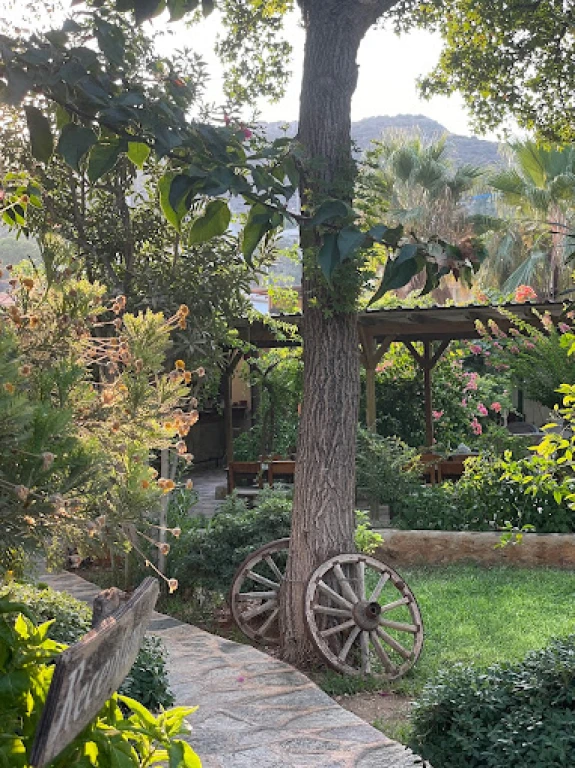 Dardanos Hotel Patara