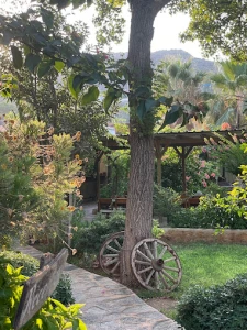 Dardanos Hotel Patara