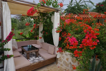 Dardanos Hotel Patara