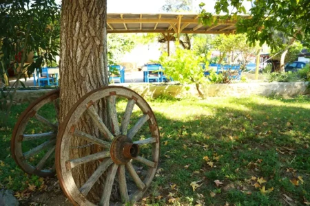 Dardanos Hotel Patara