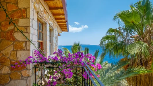 Villa Hotel Tamara