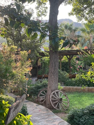 Dardanos Hotel Patara