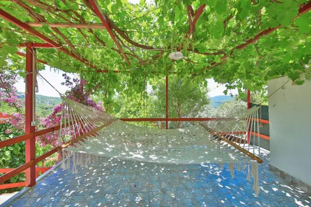 Lemon Villa 1
