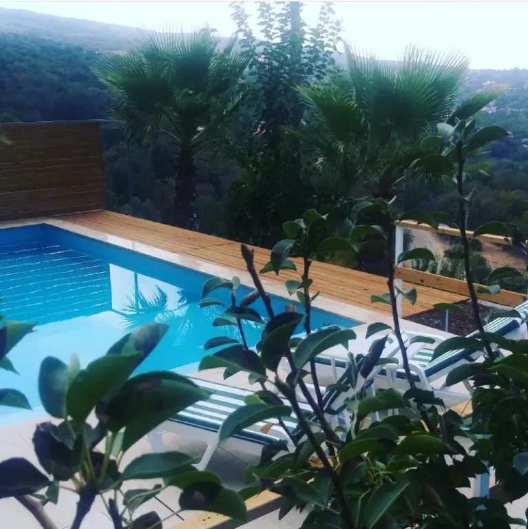 Lemon Villa 1