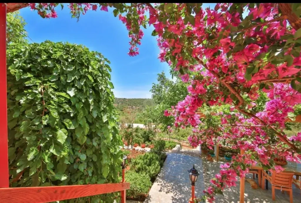 Lemon Villa 1