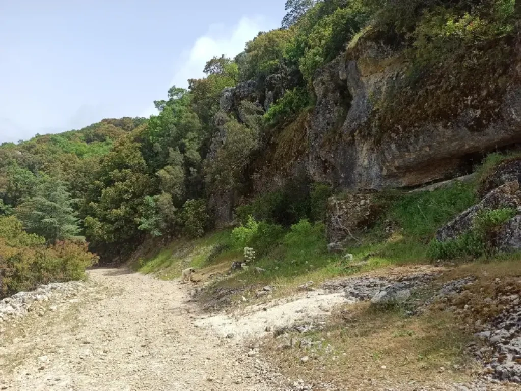 Phellos – Antiphellos Trekking Tour: From Kaş Mountain to the Sea
