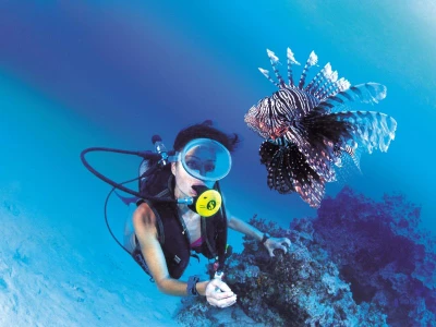 Scuba Diving