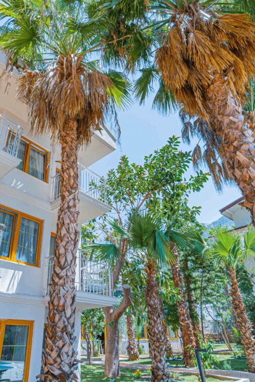 Dream Of Ölüdeniz