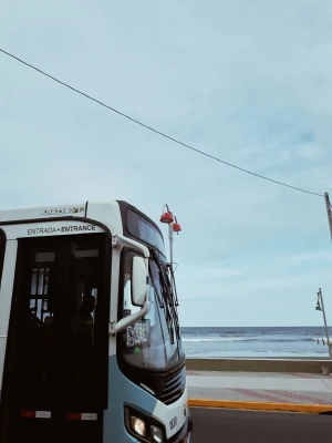 Bus Tours