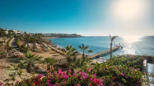 Sharm El Sheikh & Kahire & İskenderiye Turu / AJet ile / 6 Gece Konaklamalı  / İstanbul Çıkışlı