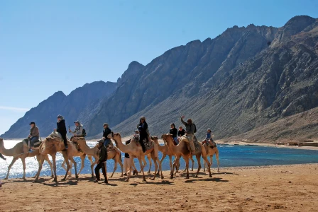 Balayı Özel Konsept Sharm El Sheikh Turu / AJet ile / 4 Gece Konaklamalı  / İstanbul Çıkışlı