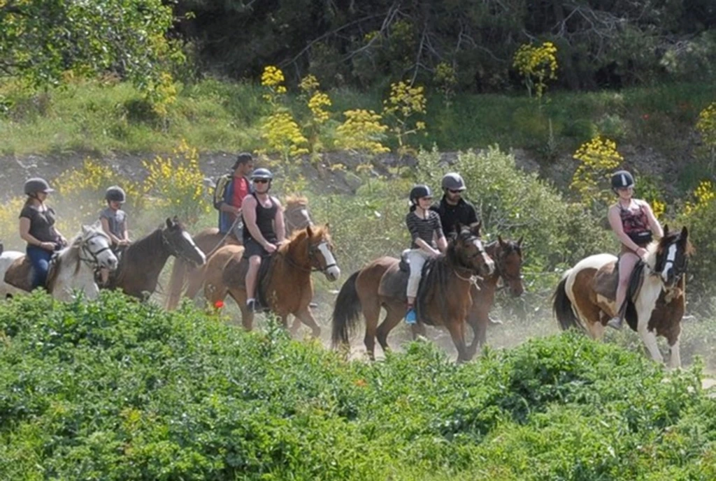 Kusadasi Horse Safari – Forest & Pamucak Beach