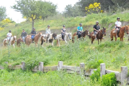 Kusadasi Horse Safari – Forest & Pamucak Beach