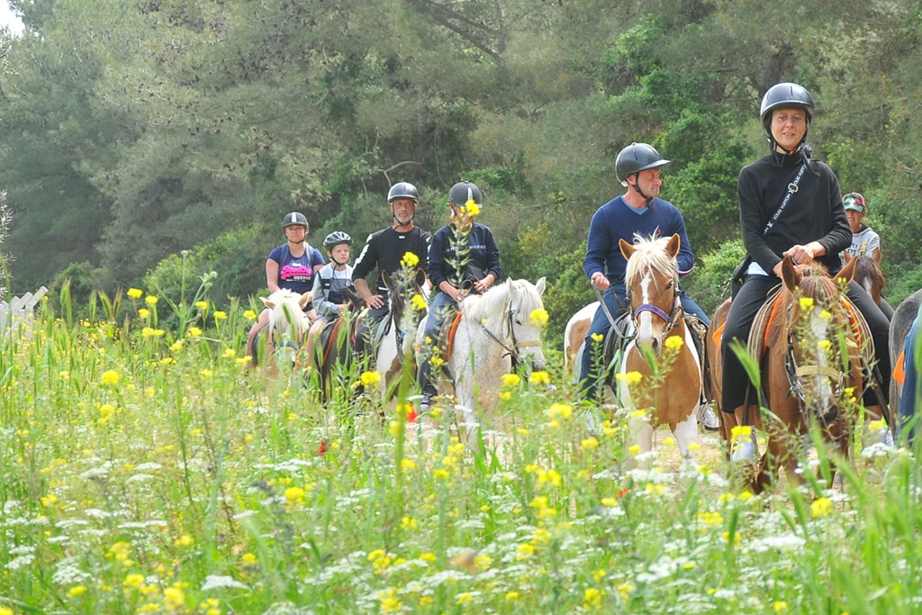 Kusadasi Horse Safari – Forest & Pamucak Beach