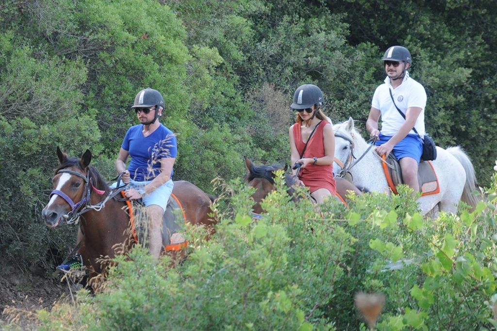 Kusadasi Horse Safari – Forest & Pamucak Beach