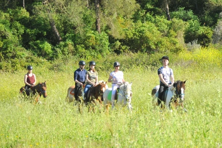 Kusadasi Horse Safari – Forest & Pamucak Beach
