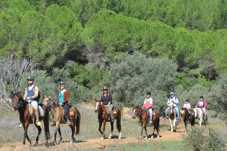Kusadasi Horse Safari – Forest & Pamucak Beach