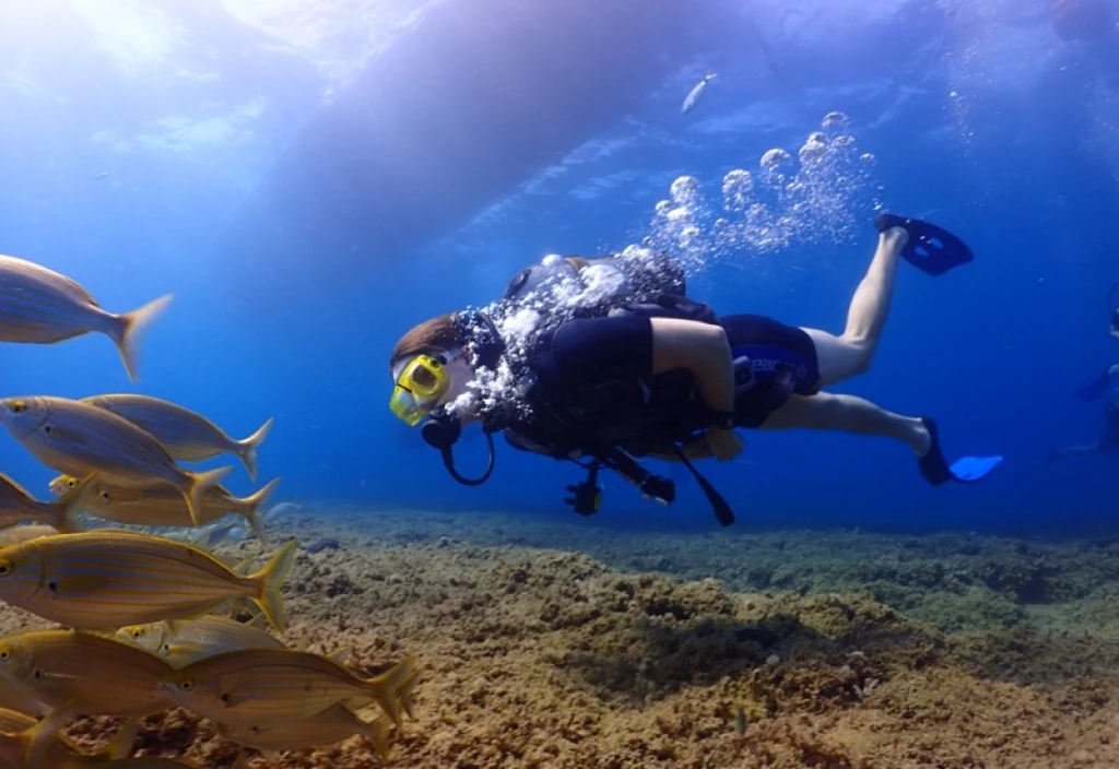 Kusadasi Airbus A300 Plane Wreck Dive-For Certified Divers
