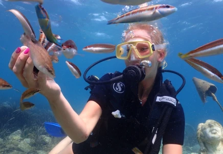 Kusadasi Airbus A300 Plane Wreck Dive-For Certified Divers
