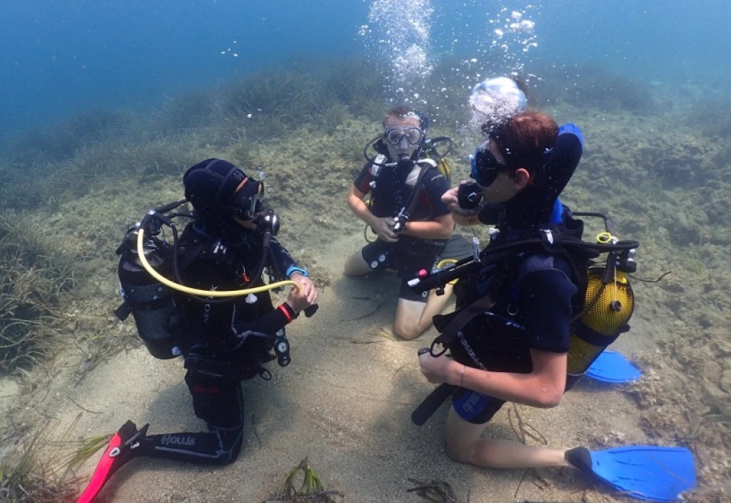 Kusadasi Airbus A300 Plane Wreck Dive-For Certified Divers