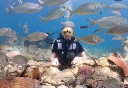 Kusadasi Airbus A300 Plane Wreck Dive-For Certified Divers