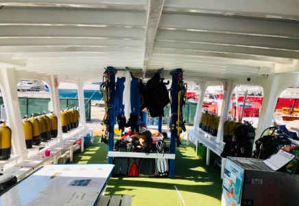 Kusadasi Airbus A300 Plane Wreck Dive-For Certified Divers