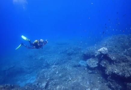 Kusadasi Airbus A300 Plane Wreck Dive-For Certified Divers