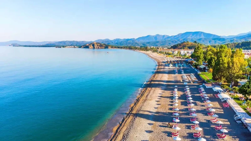 Sarıgerme