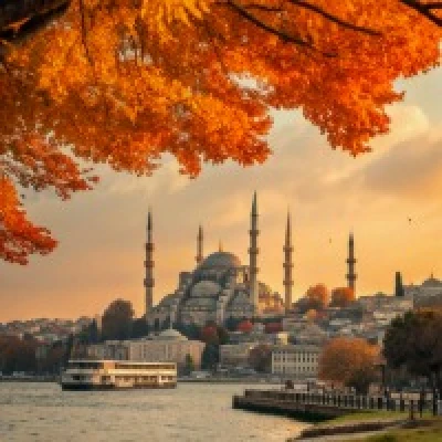 Yurtiçi Turlar