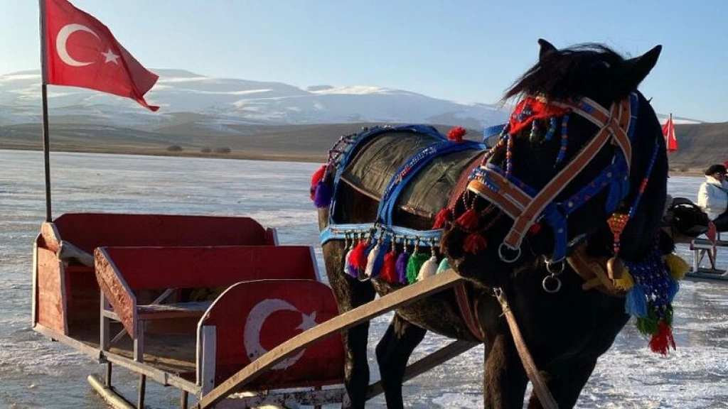 İSTANBUL ÇIKIŞLI / UÇAK GİDİŞ DÖNÜŞ DOĞU EKSPRESİ TURU/ (VAN-DOĞUBEYAZIT-KARS-ERZURUM)...