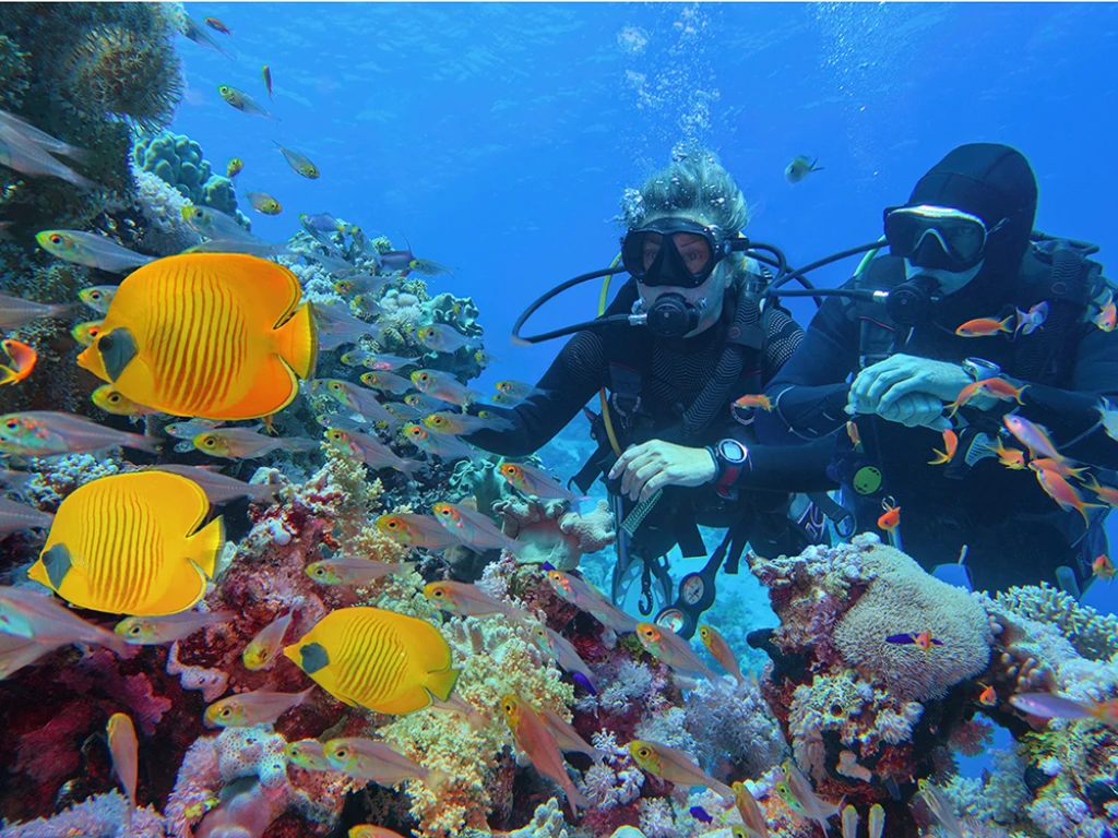 SHARM EL SHEIKH TURU