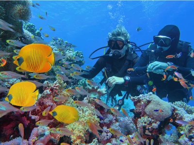 SHARM EL SHEIKH TURU