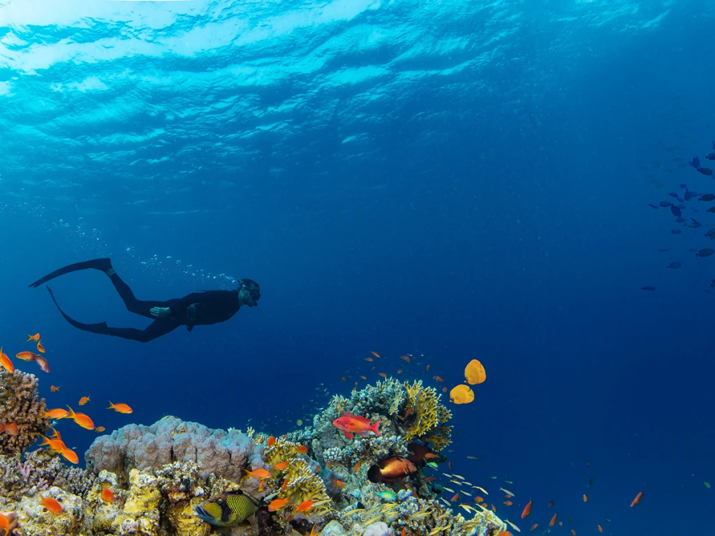 SHARM EL SHEIKH TURU