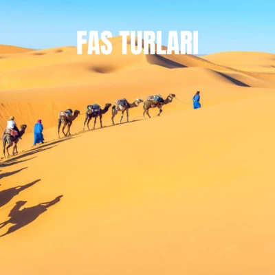 Morocco Tours
