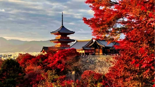 Doğu Asya’nın Güneşi “Japonya” Turu / Türk Hava Yolları ile / 6 Gece Konaklamalı / Tüm Turlar ve Gir...