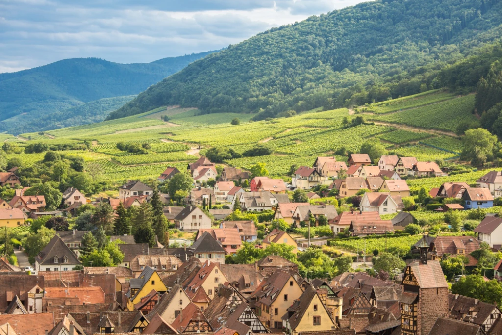 Direct Departure from Izmir: Magnificent Christmas Markets Tour – Switzerland – France – Germany