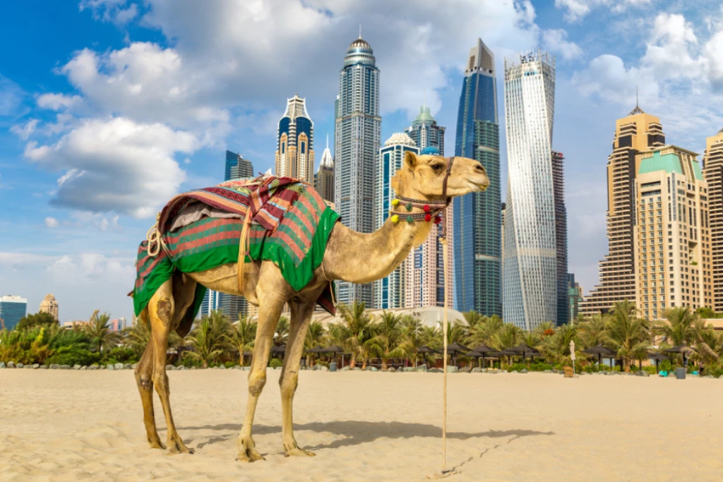 Direct from İzmir: Magnificent Dubai & the Capital of Luxury (Spring–Summer 2026)