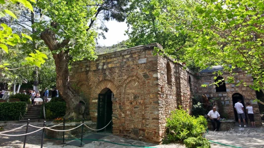 For Cruisers: Private Ephesus Tour with On-Time Return