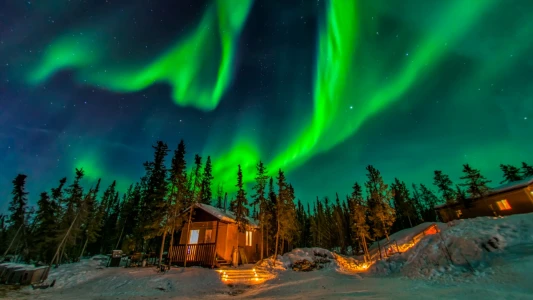 Lapland Kuzey Işıkları Murmansk & St. Petersburg & Moskova Turu / Ajet ile 5 Gece  Konaklamalı (Vize...