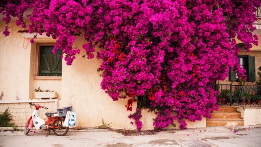 Çeşme Hareketli Ekspres Sakız Adası Turu / 1 Gece  Konaklamalı (Feribot Dahil / Her Gün Hareketli) /...