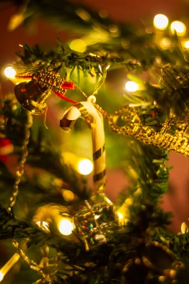 Yılbaşı ve Noel Pazarları Turları