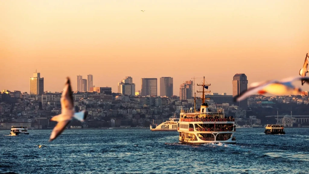 Istanbul Combo: City Highlights & Bosphorus Cruise