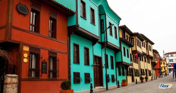 Aydın Çıkışlı Eskişehir Bursa Turu