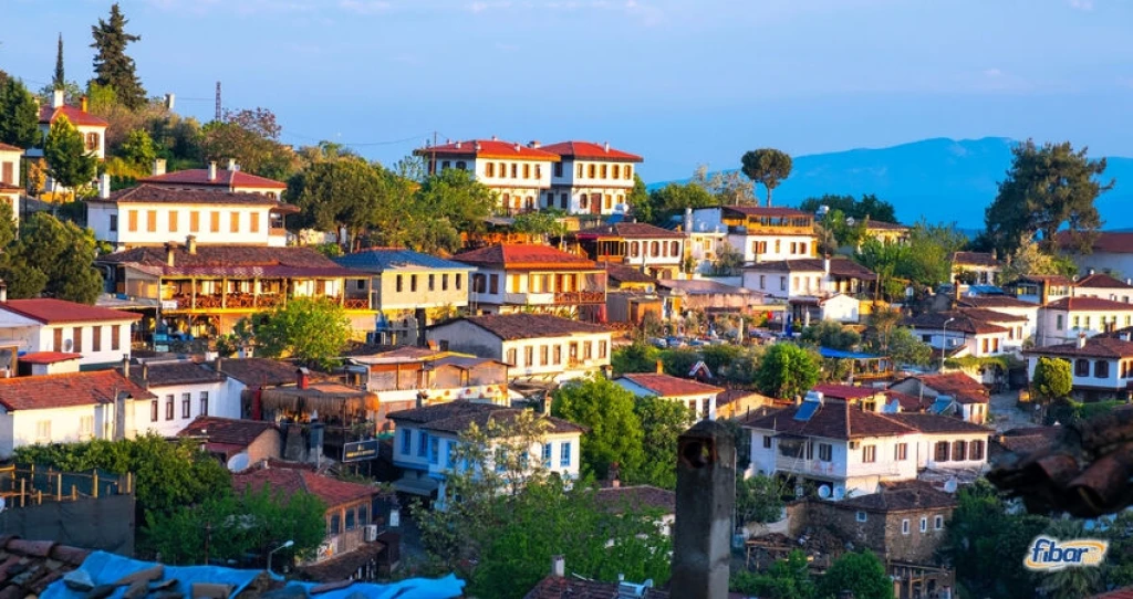 Aydın Çıkışlı Efes Antik Kenti Meryemana Şirince Turu