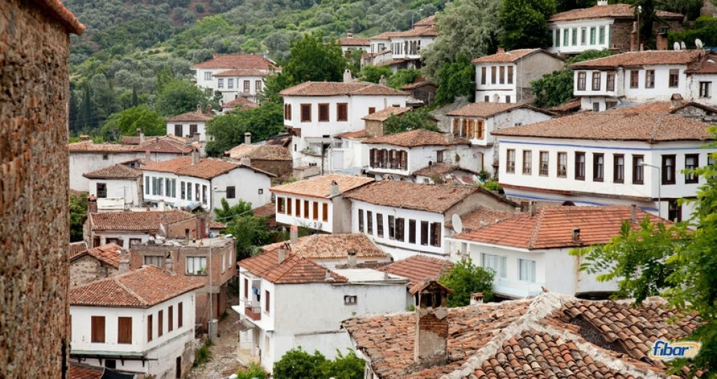 Aydın Çıkışlı Efes Antik Kenti Meryemana Şirince Turu